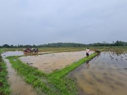 Petir Menyambar, Petani Meninggal, Traktor Jalan Sendiri Secara Misterius