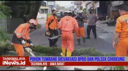 Video Pohon Tumbang Tutup Jalan di Tasikmalaya, Petugas BPBD dan Polisi Lakukan Evakuasi