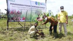 Gandeng Bangka Flora Society, PLN UIW Babel Tanam 2.000 Pohon di Sepadan Sungai Upang