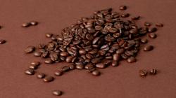 Perbedaan Robusta dan Arabika, Pecinta Kopi Wajib Tahu