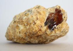 Begini Panduan Tes Keaslian Ambergris