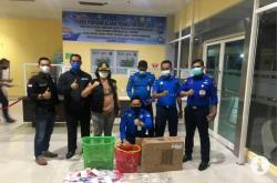 Ditpam BP Batam Gagalkan Penyelundupan Tarantula hingga Tokek ke Pekanbaru