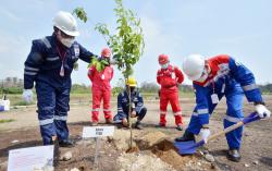 Lakukan Penghijauan, Kilang Balongan Ditanami Ribuan Bibit Pohon