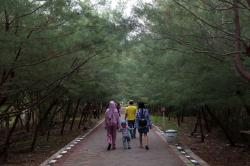 Foto : Menengok Wisata Mangrove Gunung Anyar Surabaya