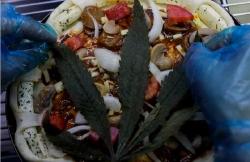 Restorant Jual Pizza Ganja Rp214 Ribu, Bagaimana Rasanya?