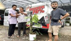 Alamak, 1 Unit Grand Max Dibarter 1   Pot Monstera Marmorata Seharga Rp85 Juta