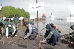 Cegah Abrasi, Pelindo Regional 3 Hijaukan Pesisir Indonesia