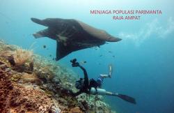 Video : Menjaga Populasi Pari Manta Raja Ampat