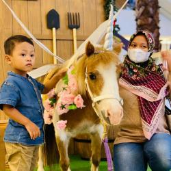 Jingle Barn Tangcity Mall Hadirkan Mini Horse