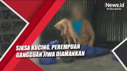 Siksa Kucing, Perempuan Gangguan Jiwa Ini Diamankan ke Mapolsek Tanjung Duren