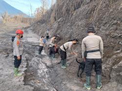 Anjing Pelacak Polda Jatim Kembali Cari Korban Erupsi Semeru