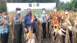 Lapas Tuatunu Pangkalpinang Latih Napi Bertani