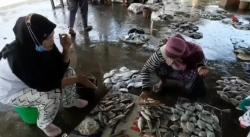 Cuaca Buruk Berimbas pada Kenaikan Harga Ikan Laut