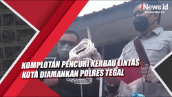 Komplotan Pencuri Kerbau Lintas Kota Berhasil Diringkus Polres Tegal