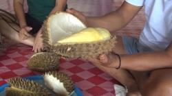 Selain Yummy, Ini Manfaat Durian Bagi Kesehatan Tubuh