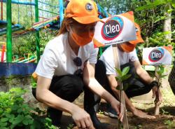 Cleo Tanam 55.000 Bibit Mangrove di Hutan Bakau Surabaya