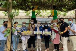 Program Budidaya 150 Pohon Markisa MNC Peduli Bersama STIE MNC Berbuah Manis Jadi Produk Jus Kemasan