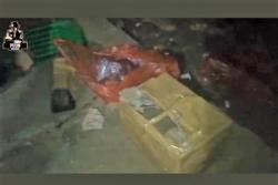 3 Kepala Anjing dan Balok Dikirim ke Pondok Pesantren Milik  Habib Bahar bin Smith