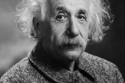 Albert Einstein Kaitkan Kiamat dengan Lebah, Simak Lengkap Penjelasannya