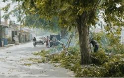 Dinas Lingkungan Hidup Karawang Sisir Pohon  yang Membahayakan Pengguna Jalan