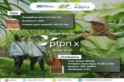 PTPN X Targetkan Produksi 340 Ribu Ton Gula