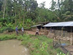 Astaghfirullah, Lagi Marak Maling Ternak di Kabupaten Blitar, Kemarin Kambing, Kali Ini 308 Bebek