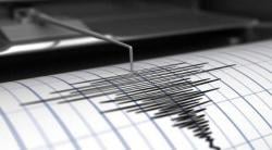 Pacitan Diguncang Gempa Bumi Magnitido 4,2, Dirasakan hingga Sleman