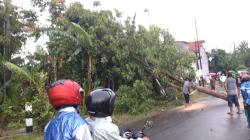 Angin Kencang Terjang Tiga Kecamatan, Rumah Milik 55 Kepala Keluarga Rusak