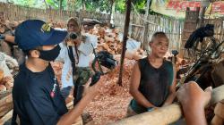 Ada Paket City Tour Jas Merah Blitar Bumi Bung Karno, Kemana Aja ? Ikut Yuks