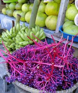 Mitos Buah Parijoto Gunung Muria