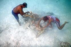 Menakjubkan, Ini Foto-Foto Masyarakat Mutus Raja Ampat Saat Membuat Kebun Karang di Dasar Laut