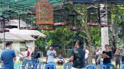 Daftar Pemenang Lomba Burung Berkicau Kapolsek Payung Cup 1