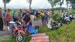 Mencari Rumput, Paidi Tewas Tergeletak di Pinggir Sawah