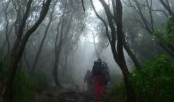 Kisah Horor Pendaki Gunung Arjuno Tersesat dan Melihat Perkampungan Gaib