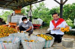 Presiden Jokowi Kunjungi Kampung Jeruk di Karo Langsung Kontak Mentan Bantu Urus Petani 