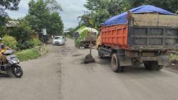 Satu Pelajar Jadi Korban, Warga Tiron Menanam Pisang di Jalan Raya