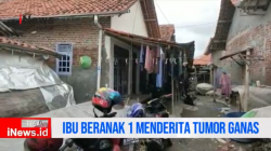 Video Penderita Difabel di Brebes Menderita Tumor Ganas