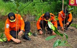 BASARNAS Surabaya Tanam Mangrove di Pesisir Surabaya