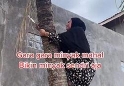 Mahalnya Minyak Goreng Bikin Wanita Ini Nekat Panjat Pohon Kelapa hingga Viral