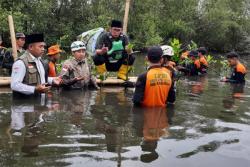 Bantu Kurangi Rob, PCNU Galakkan Aksi Penanaman Mangrove