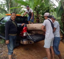 Operasi Gabungan Petugas Keamanan Banyuwangi Selatan Gagalkan Pencurian Kayu Jati