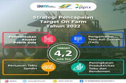 Inilah Empat Strategi PTPN X Capai 4,2 Juta Ton Tebu