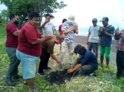 Abrasi, Bibir Pantai Cemara Banyuwangi Terancam Hilang