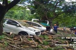 Pohon Tumbang Akibat Angin Kencang Timpa Dua Mobil di Bekasi, BPBD Sebut Tak Ada Korban Jiwa