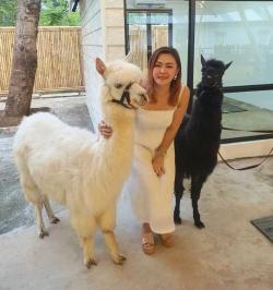 Bercanda Bersama Alpaca Di Scientia Square Park, Dan Wall Climbing Yang Menantang