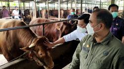 Badan Pangan Nasional Jamin Stok Daging selama Ramadhan-Idul Fitri Aman