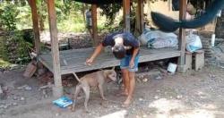 Cerita Anjing kampung Milik Warga, Bantu Temukan Pelaku Penyelundupan Sabu Yang Sempat Kabur