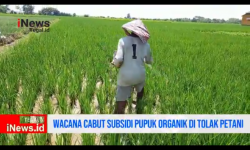 Video Petani di Brebes Tolak Panja DPR Cabut Subsidi Pupuk