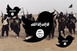 Aktivitas Propaganda Jaringan ISIS Gunakan Twitter