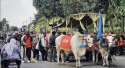 Parade Cikar Ramaikan HUT Kabupaten Kediri  ke-1218